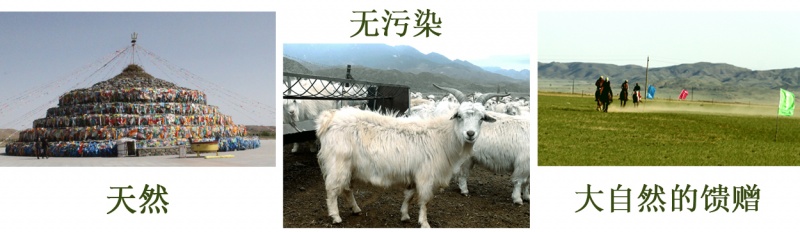 主題2.jpg
