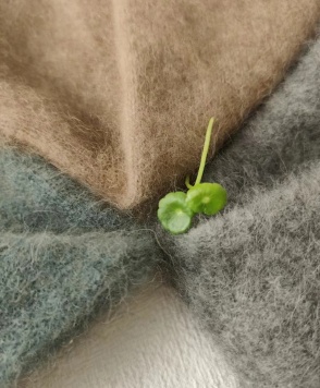 Racoon fiber yarn