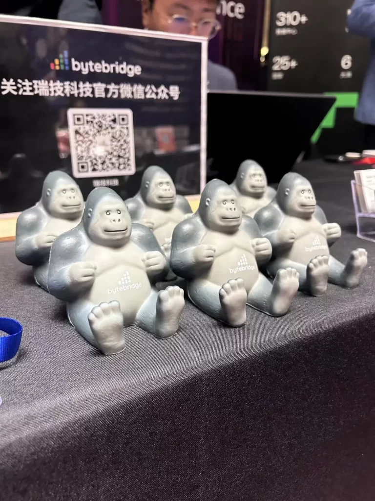 瑞技参加 DCCO 上vC